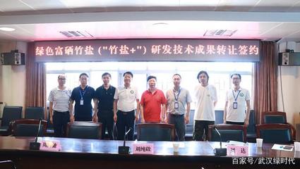 武汉绿时代 科技成果转让的绿色引擎