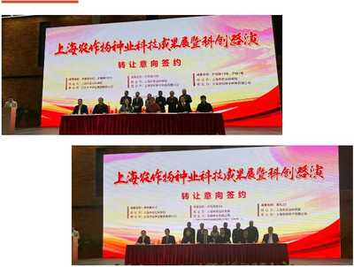 上海种业科技成果路演交易签约 为种业高质量发展注入新动能