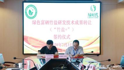 武汉绿时代 绿色科技创新的成果转让之路