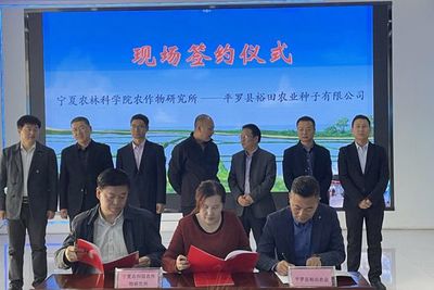 大豆新品种成果转化 裕田农业成宁夏产业新亮点